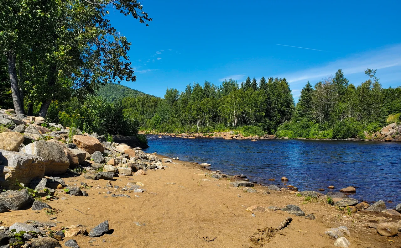 The river near the cottages
