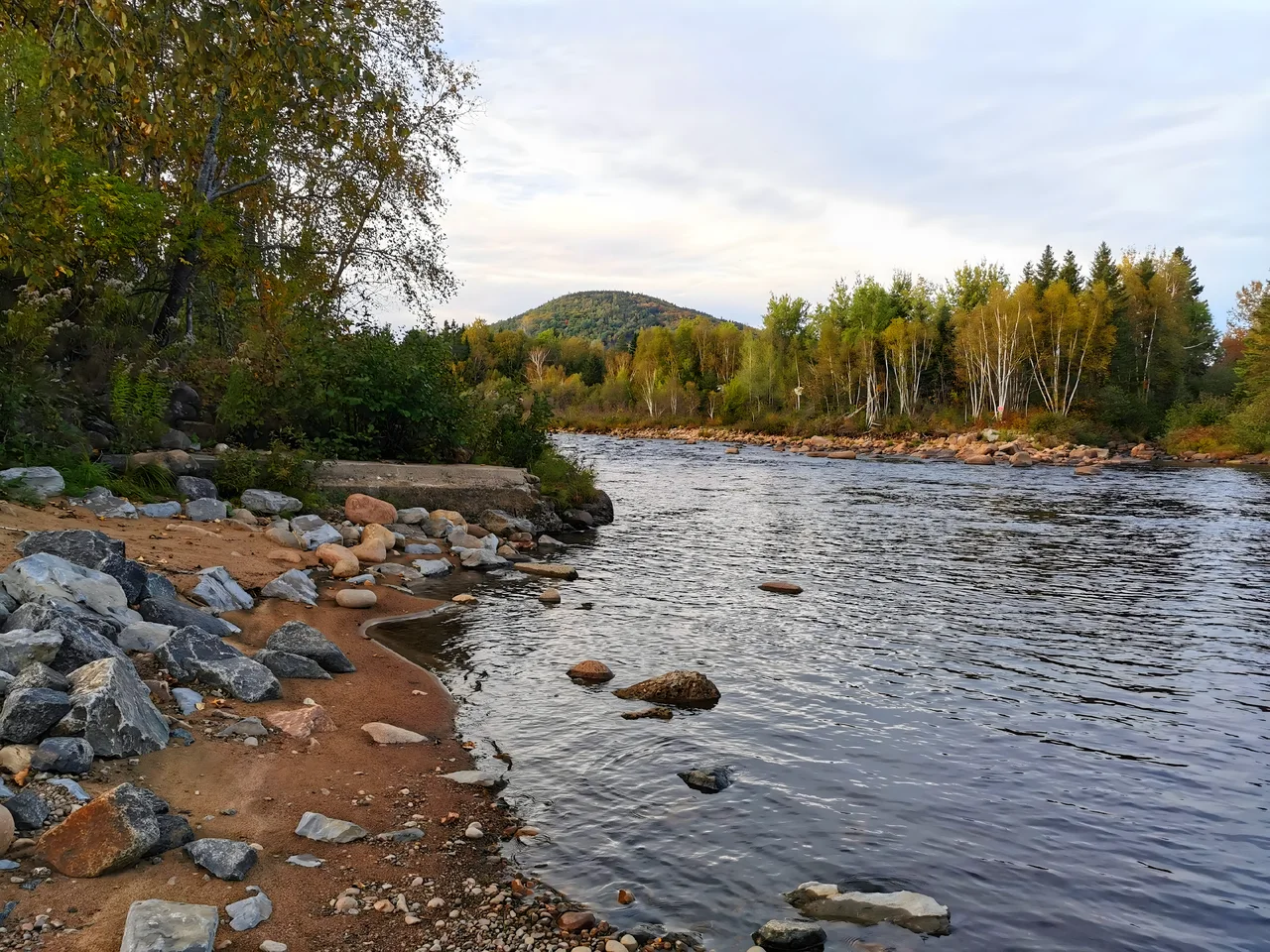 Le Grand Pin, photo 27